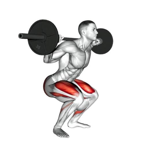Squat 1RM & Strength Standards Calculator